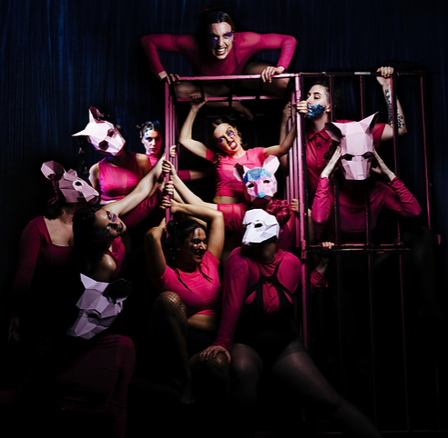 The image is the promotional picture for the play Piper. There are eleven people wearing fitted hot pink long sleeve tops or t-shirt and shorts. Five of the people are wearing paper animal masks resembling rats or mice. All of the people are posing in a theatrical manner inside and around a pink metallic cage-like structure. The background is dark.