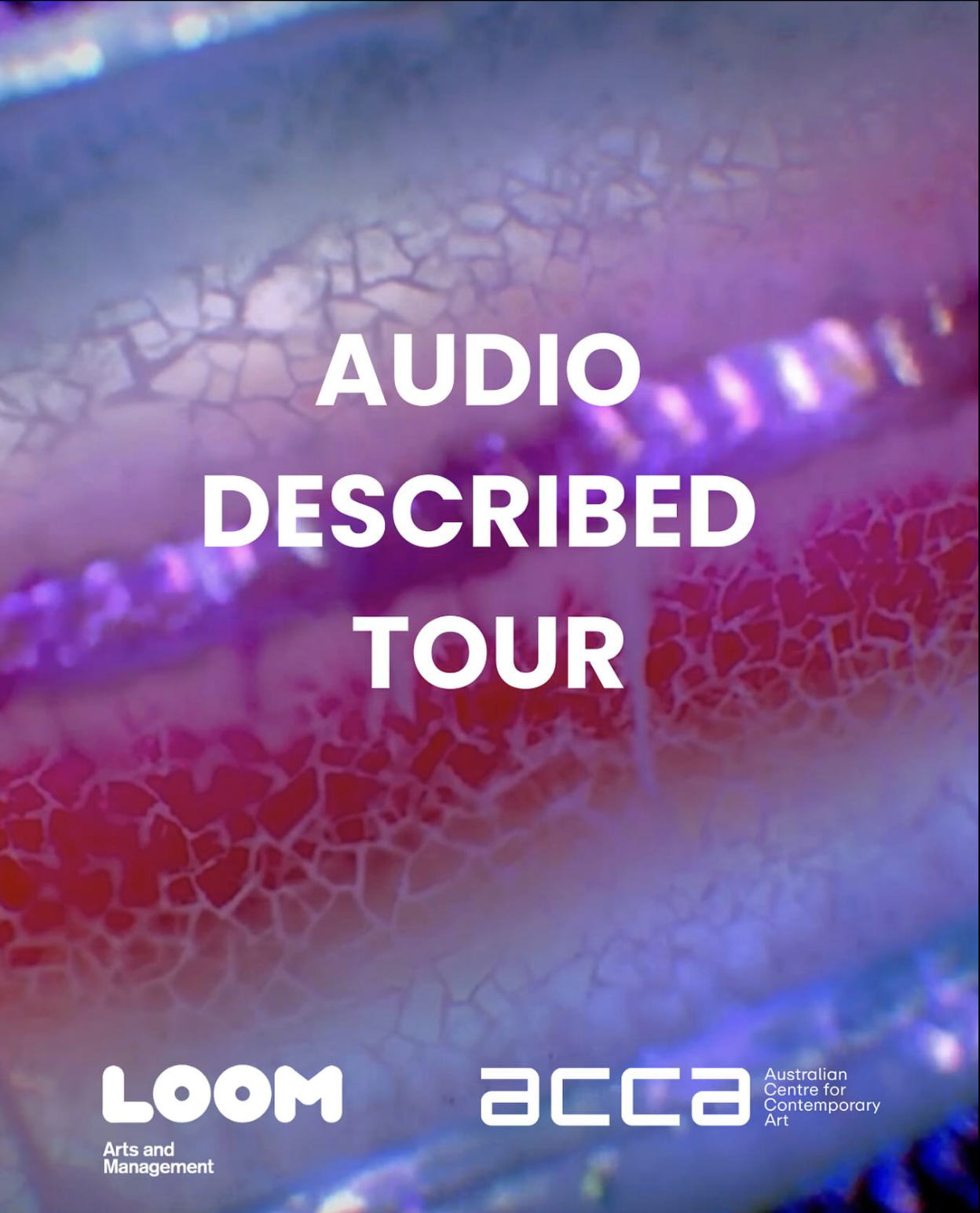 A still image from a digital video work by Sorawit Songsataya with white text overlaid, reading: AUDIO DESCRIBED TOUR. The image features a close-up section of a cylindrical, biological looking object against a dark background. The object almost fills the entire frame with a horizontal band of shimmering purple centred between gradient shades of red, pink and blue. The surface looks slightly translucent with iridescent colours showing an intricate pattern of fine, organic lines which are reminiscent of capillaries or a network of tiny cracks. There are white logos for Loom and ACCA at the bottom of the image.