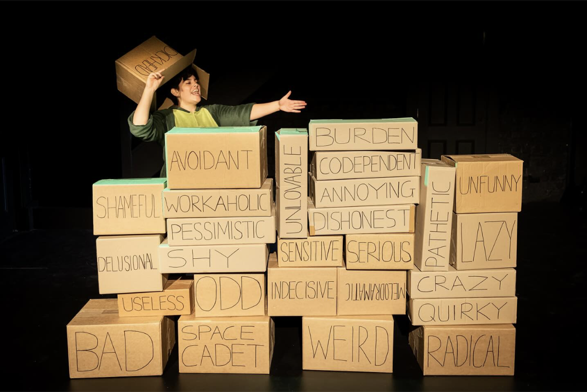 Artemis, a person with shoulder length curly hair and olive skin, wears a green fabric dinosaur onesie stands behind a wall of neatly stacked cardboard boxes. The boxes have words written on them in black marker including “delusional”, “shameful”, “odd” and “crazy”. Artemis holds an upside-down box on their head that has the word “dickhead” written on it. They are gesturing widely with their left hand and have their mouth open as if mid-song.